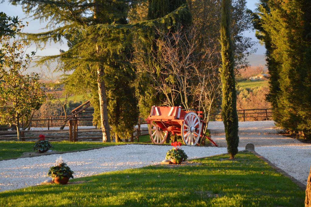 Agriturismo La Collina Pitigliano Rom bilde