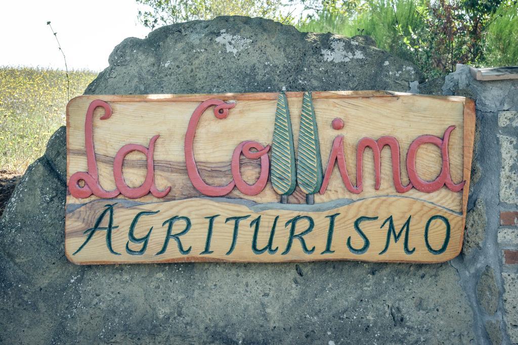 Agriturismo La Collina Pitigliano Eksteriør bilde
